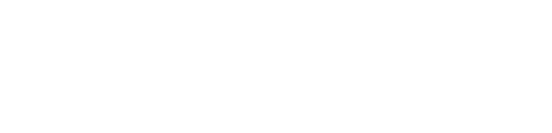 Fleet Feet logo