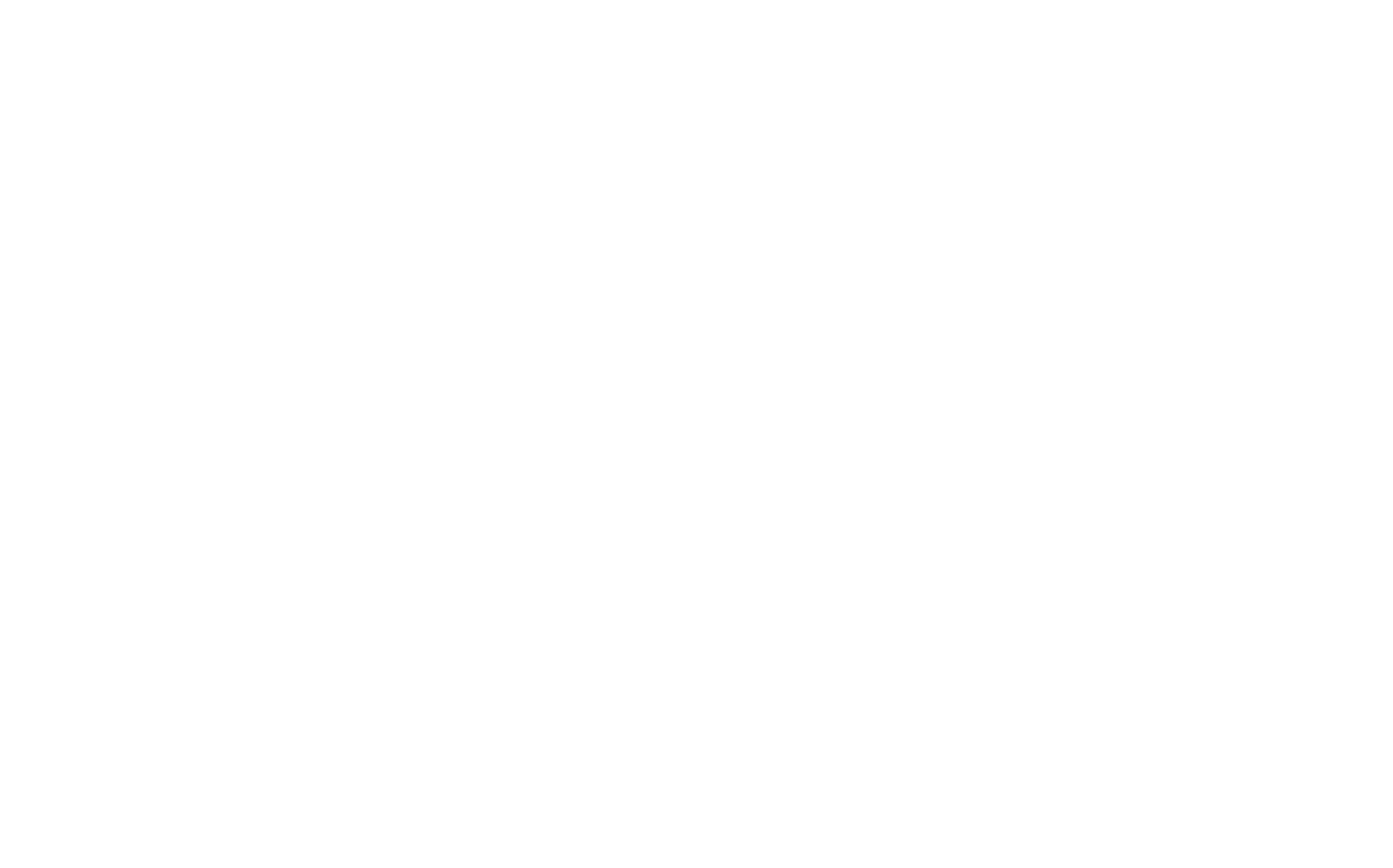 Paraná Empanadas logo