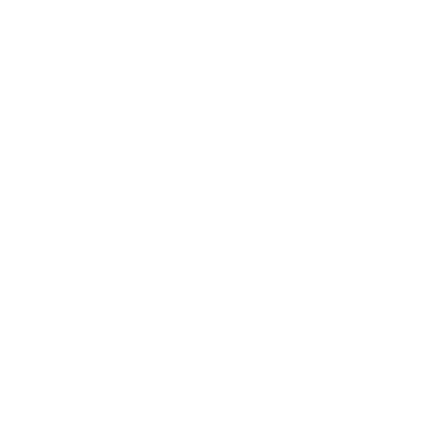 Stay Anchored logo